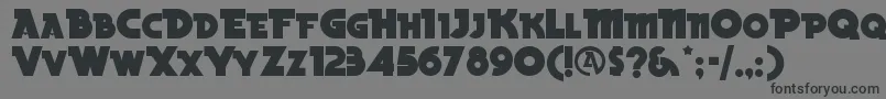 BeckerblacknfRegular Font – Black Fonts on Gray Background