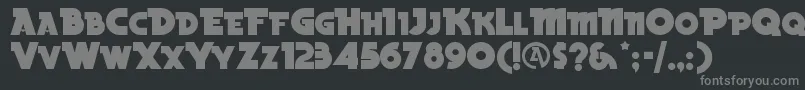 BeckerblacknfRegular Font – Gray Fonts on Black Background