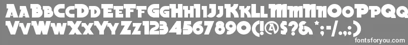 BeckerblacknfRegular Font – White Fonts on Gray Background