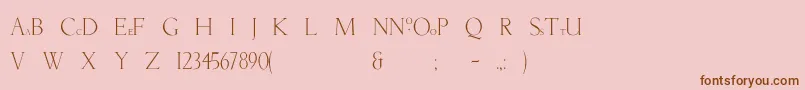 NatashaBold Font – Brown Fonts on Pink Background