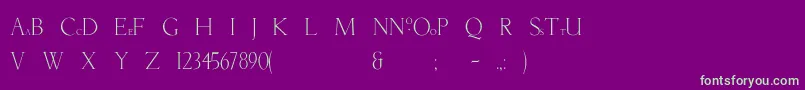 NatashaBold Font – Green Fonts on Purple Background