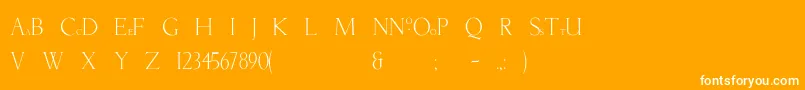 NatashaBold Font – White Fonts on Orange Background