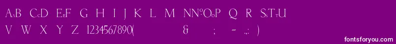 NatashaBold Font – White Fonts on Purple Background