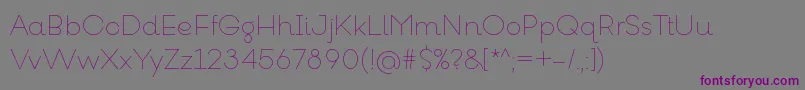 Шрифт GoeslimRegular – фиолетовые шрифты на сером фоне