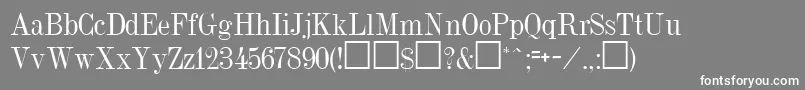 DubielRegular Font – White Fonts on Gray Background