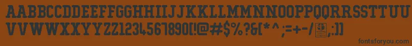 TypoCollegeRoundedDemo Font – Black Fonts on Brown Background