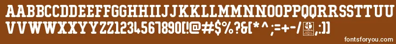 TypoCollegeRoundedDemo Font – White Fonts on Brown Background