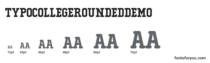 TypoCollegeRoundedDemo Font Sizes