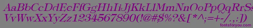 TypographyTimesItalic Font – Purple Fonts on Gray Background