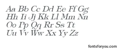 TypographyTimesItalic Font