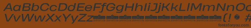 HeadingProWideItalicTrial Font – Black Fonts on Brown Background
