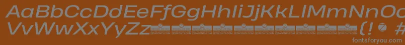 HeadingProWideItalicTrial Font – Gray Fonts on Brown Background