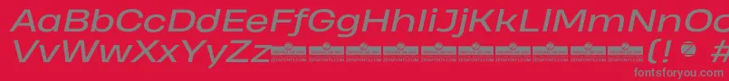 HeadingProWideItalicTrial Font – Gray Fonts on Red Background
