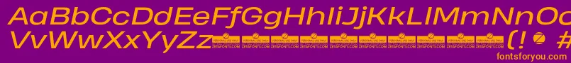 HeadingProWideItalicTrial Font – Orange Fonts on Purple Background
