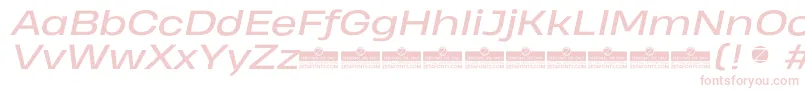HeadingProWideItalicTrial Font – Pink Fonts on White Background