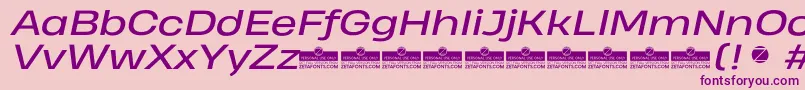 HeadingProWideItalicTrial Font – Purple Fonts on Pink Background