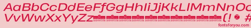 HeadingProWideItalicTrial Font – Red Fonts on Pink Background