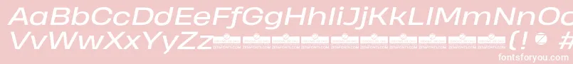 HeadingProWideItalicTrial Font – White Fonts on Pink Background