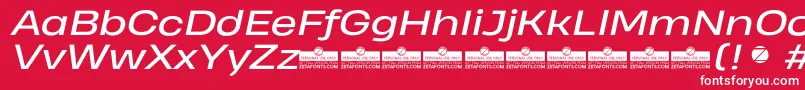 HeadingProWideItalicTrial Font – White Fonts on Red Background