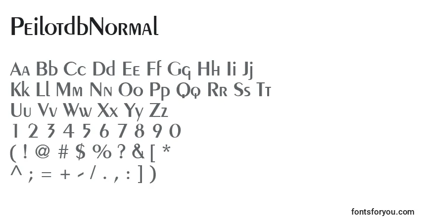 Schriftart PeilotdbNormal – Alphabet, Zahlen, spezielle Symbole
