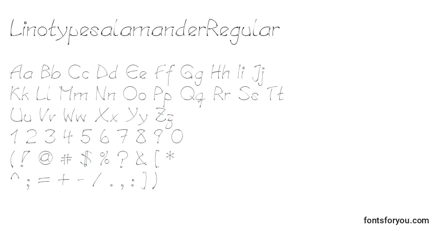 Czcionka LinotypesalamanderRegular – alfabet, cyfry, specjalne znaki