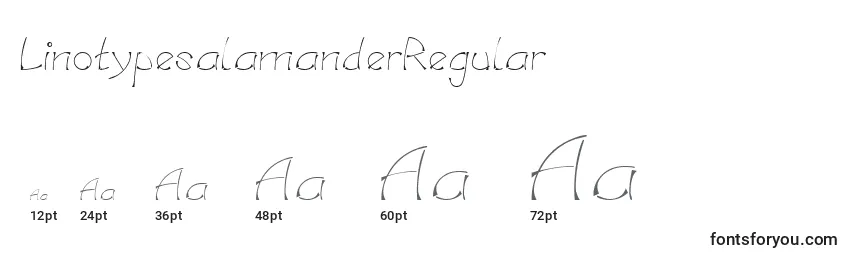 Размеры шрифта LinotypesalamanderRegular