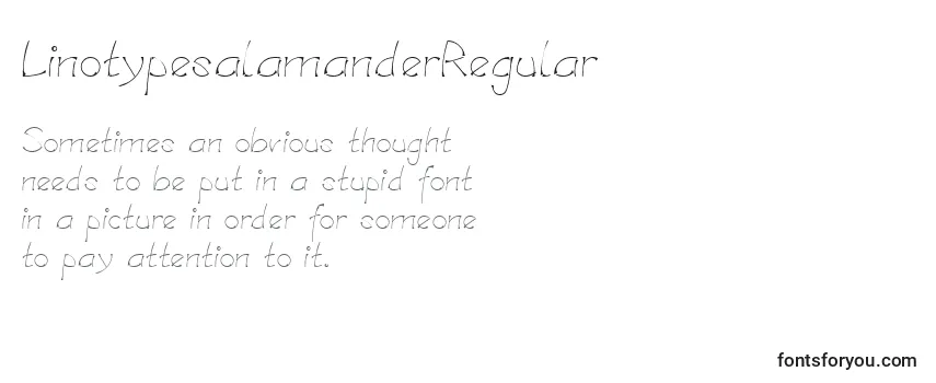 Review of the LinotypesalamanderRegular Font