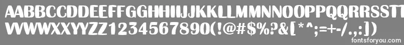 フォントAAlbionictitulinflBold – 灰色の背景に白い文字