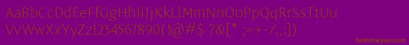 Шрифт LeksasansproExtralight – коричневые шрифты на фиолетовом фоне