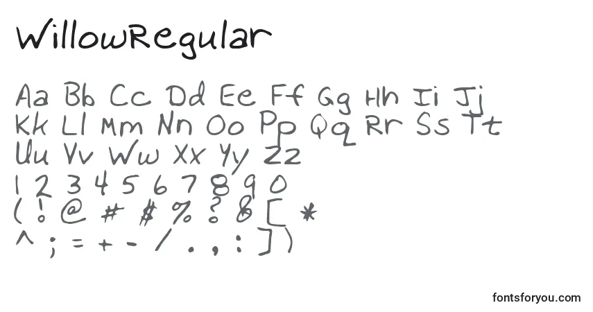 Шрифт WillowRegular – алфавит, цифры, специальные символы