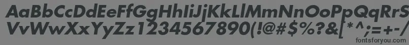 FuturastdBoldoblique Font – Black Fonts on Gray Background