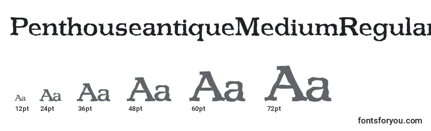 Размеры шрифта PenthouseantiqueMediumRegular