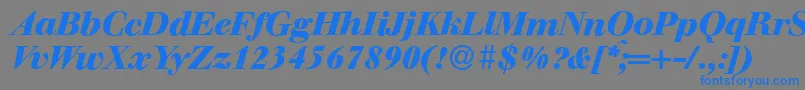 WalbaumdisplayHeavyItalic-Schriftart – Blaue Schriften auf grauem Hintergrund