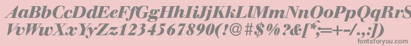 WalbaumdisplayHeavyItalic Font – Gray Fonts on Pink Background