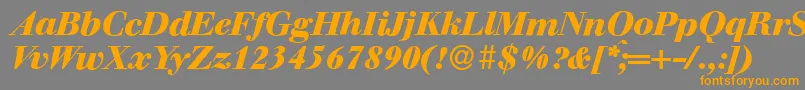 WalbaumdisplayHeavyItalic Font – Orange Fonts on Gray Background