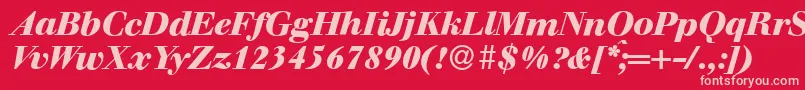 WalbaumdisplayHeavyItalic Font – Pink Fonts on Red Background