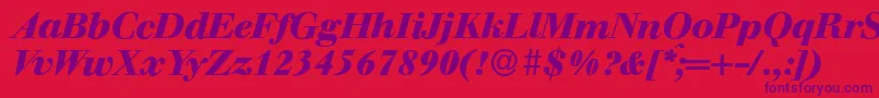 Fonte WalbaumdisplayHeavyItalic – fontes roxas em um fundo vermelho