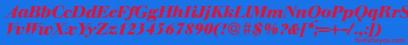 WalbaumdisplayHeavyItalic Font – Red Fonts on Blue Background