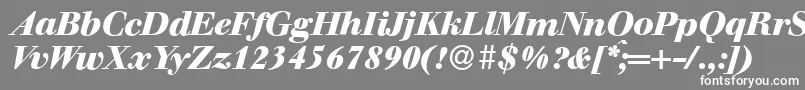 フォントWalbaumdisplayHeavyItalic – 灰色の背景に白い文字