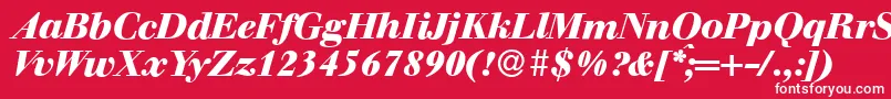 WalbaumdisplayHeavyItalic Font – White Fonts on Red Background