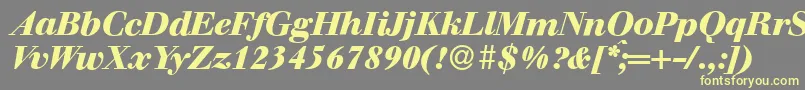 WalbaumdisplayHeavyItalic Font – Yellow Fonts on Gray Background