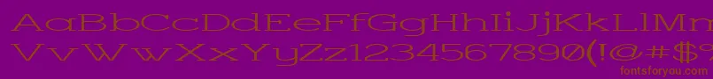 フォントCharsup – 紫色の背景に茶色のフォント