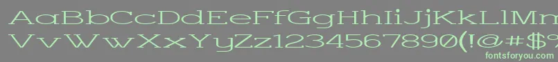 Charsup Font – Green Fonts on Gray Background