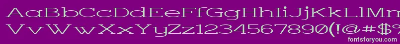 Charsup-fontti – vihreät fontit violetilla taustalla