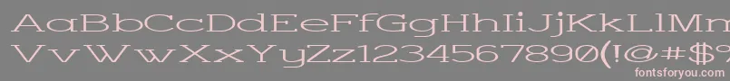 Charsup Font – Pink Fonts on Gray Background