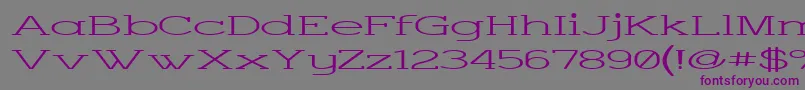 フォントCharsup – 紫色のフォント、灰色の背景