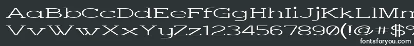 Charsup Font – White Fonts on Black Background