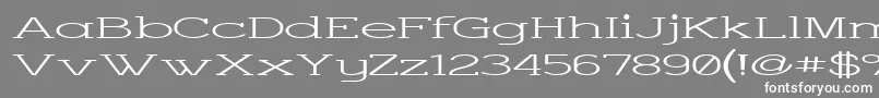 Charsup-fontti – valkoiset fontit harmaalla taustalla