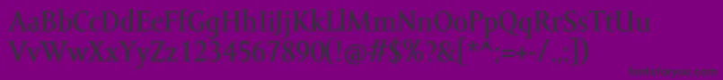 AmorSerifTextPro-fontti – mustat fontit violetilla taustalla