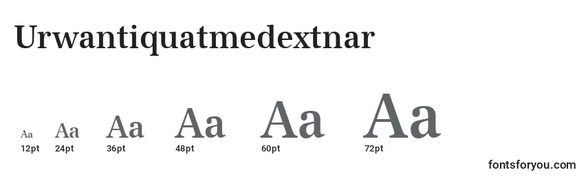 Размеры шрифта Urwantiquatmedextnar
